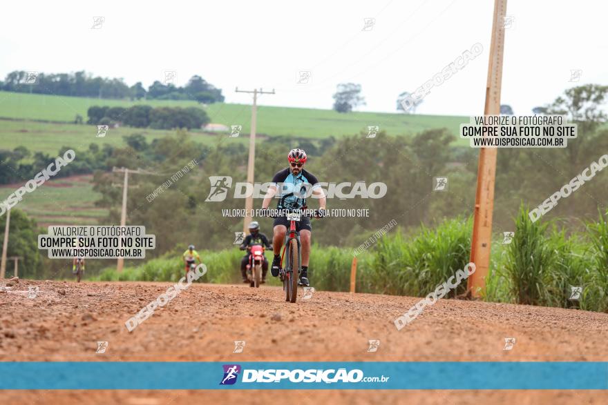 1ª EDIÇÃO DESAFIO ABELHA GRANDE - XCM