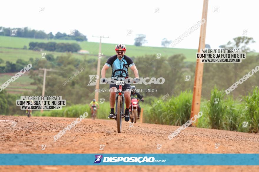 1ª EDIÇÃO DESAFIO ABELHA GRANDE - XCM