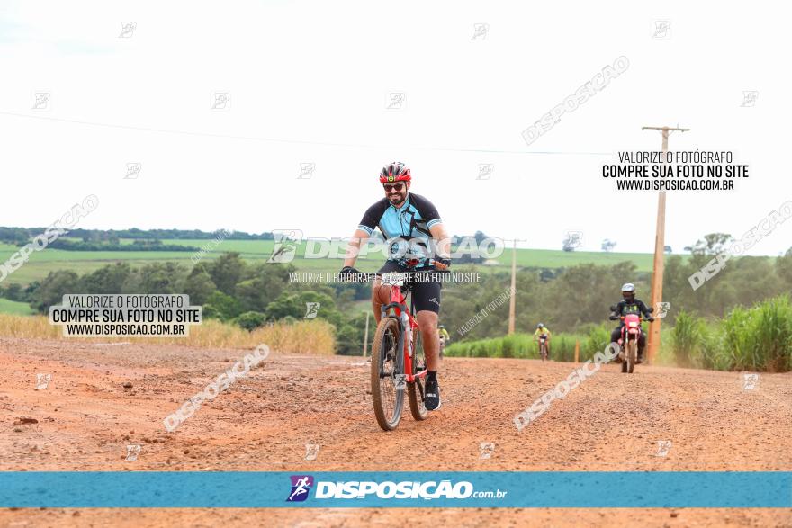 1ª EDIÇÃO DESAFIO ABELHA GRANDE - XCM