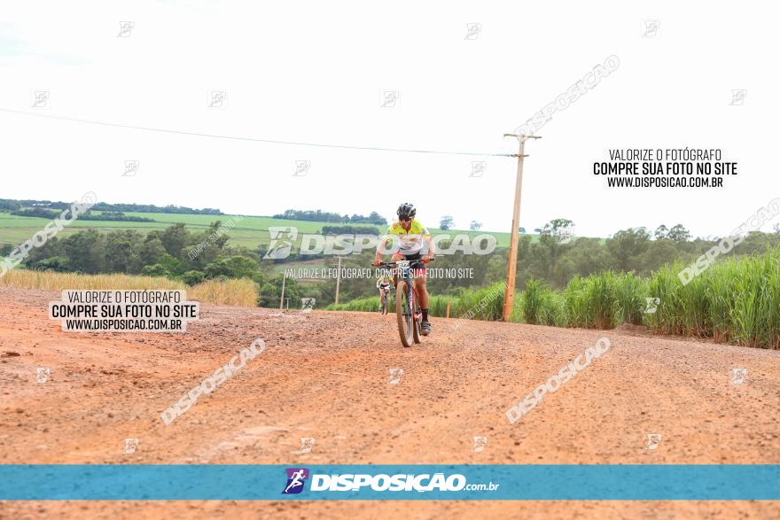 1ª EDIÇÃO DESAFIO ABELHA GRANDE - XCM