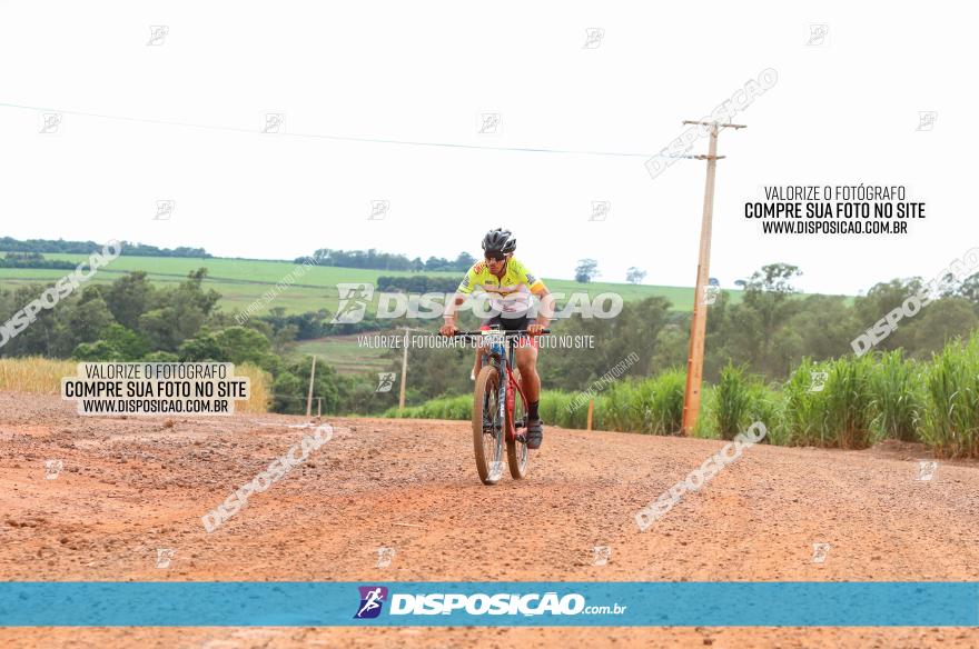 1ª EDIÇÃO DESAFIO ABELHA GRANDE - XCM