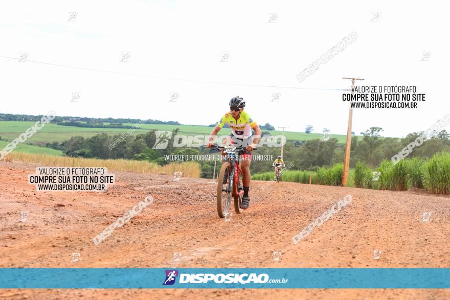 1ª EDIÇÃO DESAFIO ABELHA GRANDE - XCM