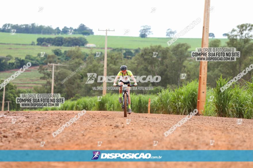 1ª EDIÇÃO DESAFIO ABELHA GRANDE - XCM