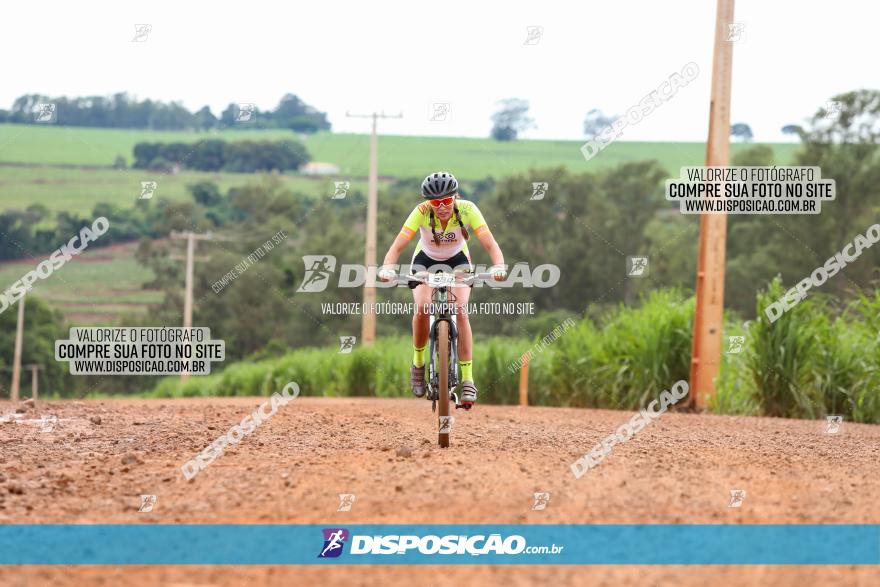 1ª EDIÇÃO DESAFIO ABELHA GRANDE - XCM