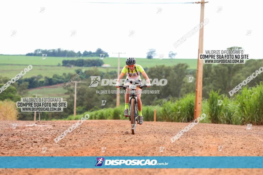 1ª EDIÇÃO DESAFIO ABELHA GRANDE - XCM