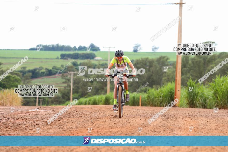 1ª EDIÇÃO DESAFIO ABELHA GRANDE - XCM