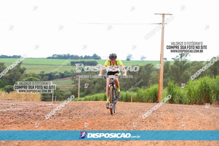 1ª EDIÇÃO DESAFIO ABELHA GRANDE - XCM