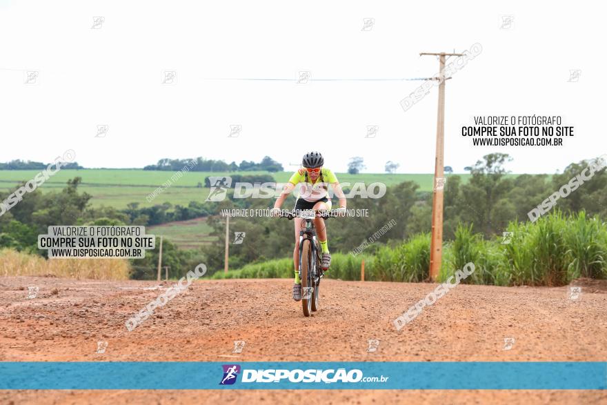 1ª EDIÇÃO DESAFIO ABELHA GRANDE - XCM