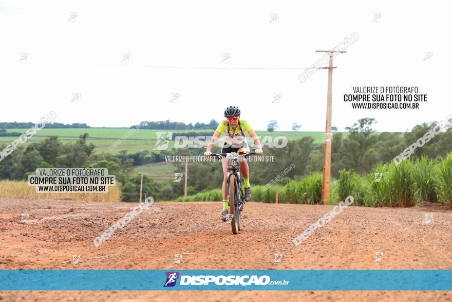 1ª EDIÇÃO DESAFIO ABELHA GRANDE - XCM