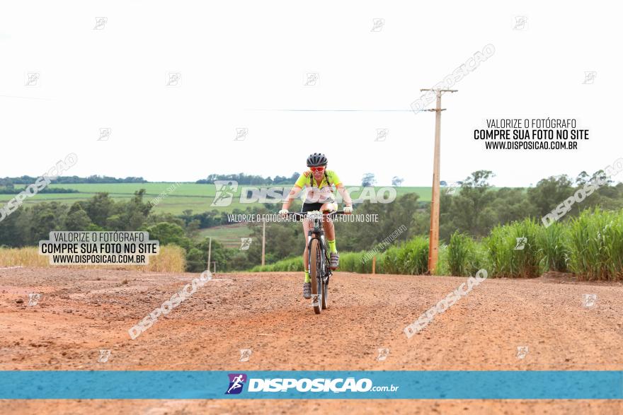 1ª EDIÇÃO DESAFIO ABELHA GRANDE - XCM