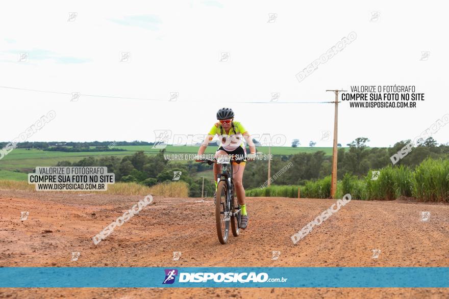 1ª EDIÇÃO DESAFIO ABELHA GRANDE - XCM