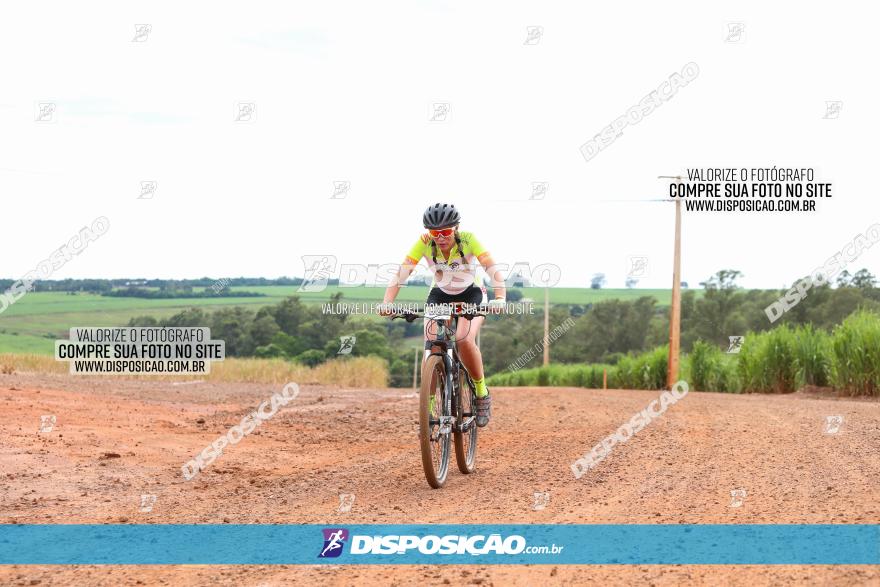 1ª EDIÇÃO DESAFIO ABELHA GRANDE - XCM