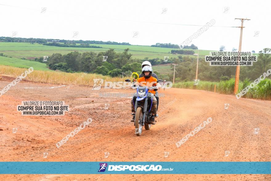 1ª EDIÇÃO DESAFIO ABELHA GRANDE - XCM