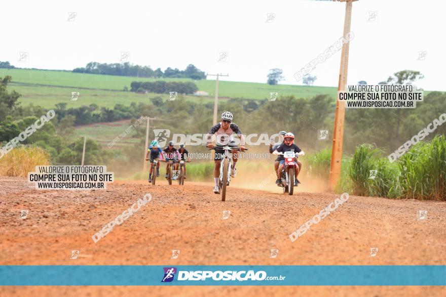 1ª EDIÇÃO DESAFIO ABELHA GRANDE - XCM