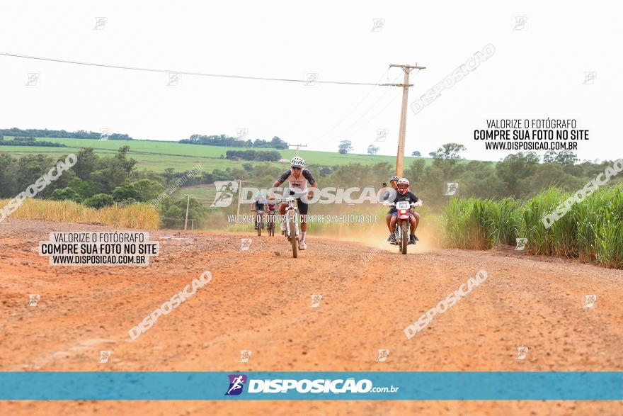 1ª EDIÇÃO DESAFIO ABELHA GRANDE - XCM