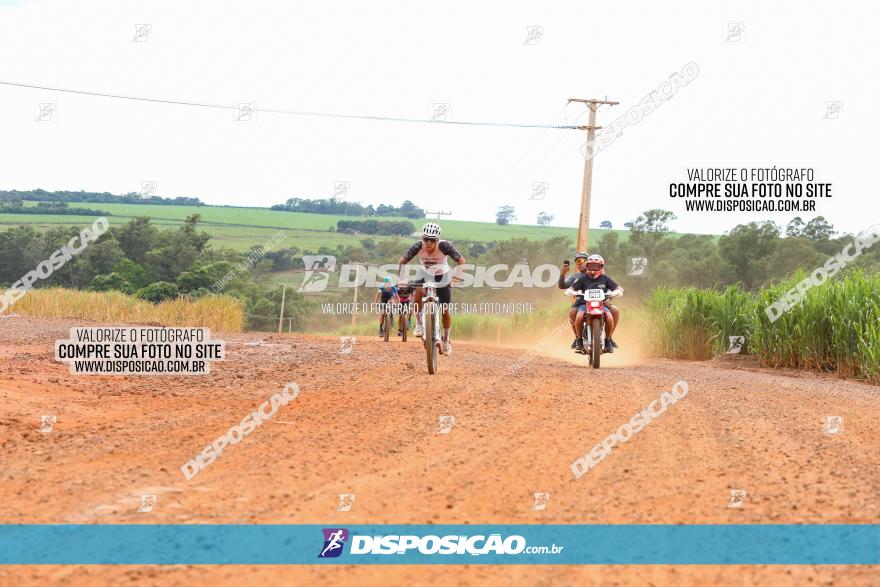 1ª EDIÇÃO DESAFIO ABELHA GRANDE - XCM