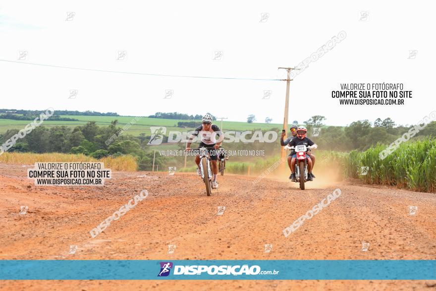 1ª EDIÇÃO DESAFIO ABELHA GRANDE - XCM