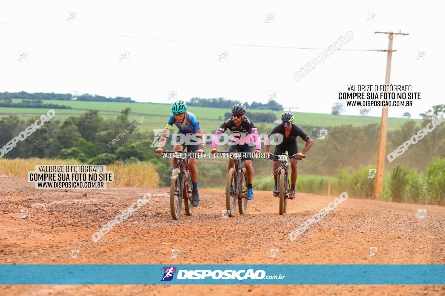 1ª EDIÇÃO DESAFIO ABELHA GRANDE - XCM