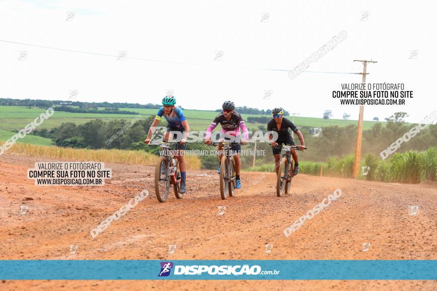 1ª EDIÇÃO DESAFIO ABELHA GRANDE - XCM