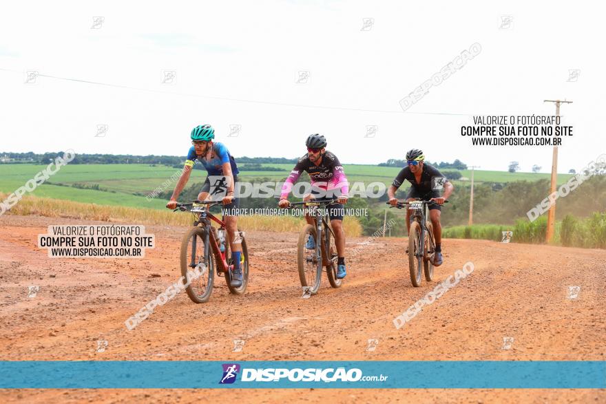 1ª EDIÇÃO DESAFIO ABELHA GRANDE - XCM