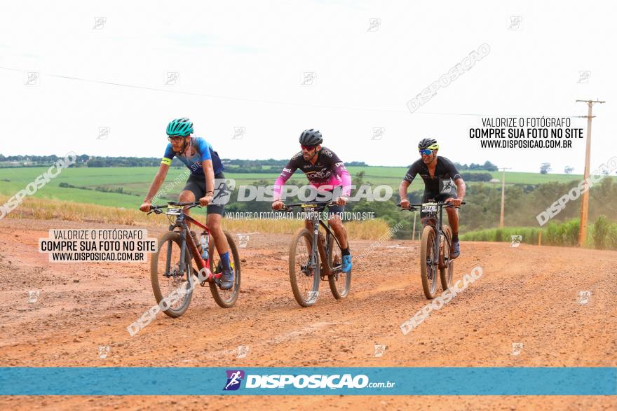 1ª EDIÇÃO DESAFIO ABELHA GRANDE - XCM