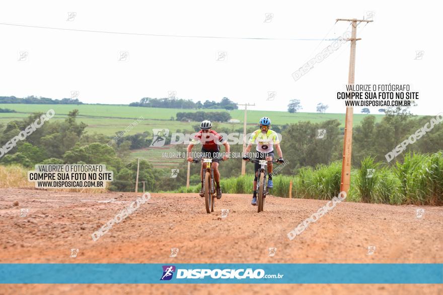 1ª EDIÇÃO DESAFIO ABELHA GRANDE - XCM