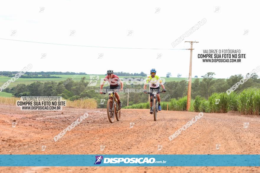 1ª EDIÇÃO DESAFIO ABELHA GRANDE - XCM