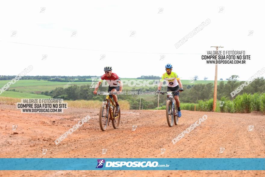 1ª EDIÇÃO DESAFIO ABELHA GRANDE - XCM