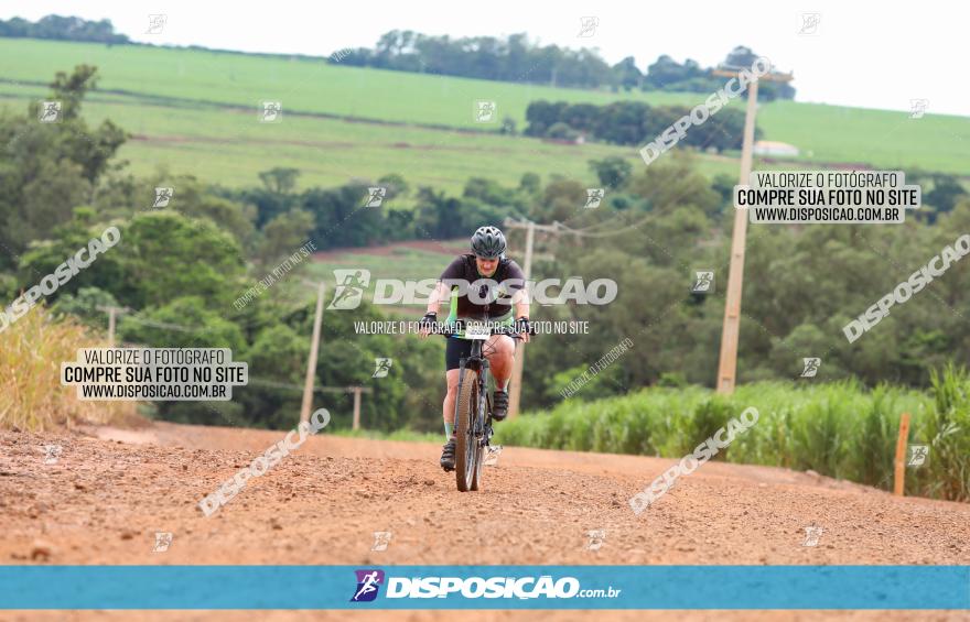 1ª EDIÇÃO DESAFIO ABELHA GRANDE - XCM