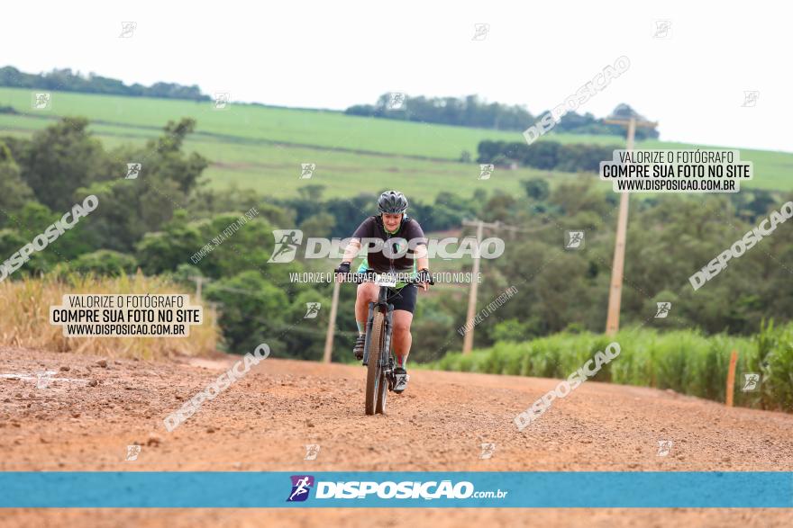 1ª EDIÇÃO DESAFIO ABELHA GRANDE - XCM