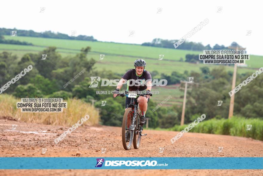 1ª EDIÇÃO DESAFIO ABELHA GRANDE - XCM