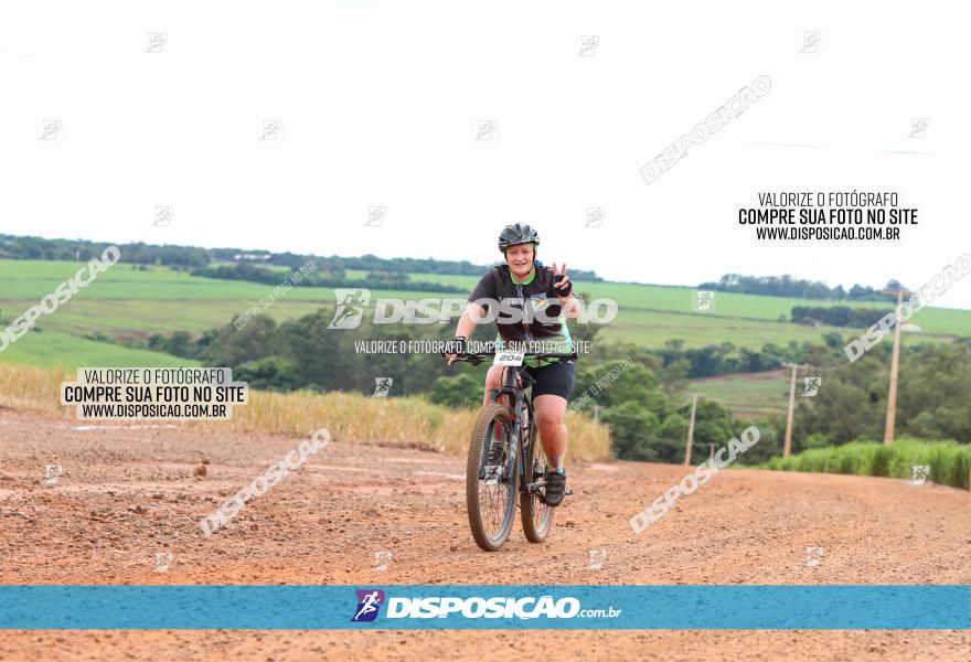 1ª EDIÇÃO DESAFIO ABELHA GRANDE - XCM