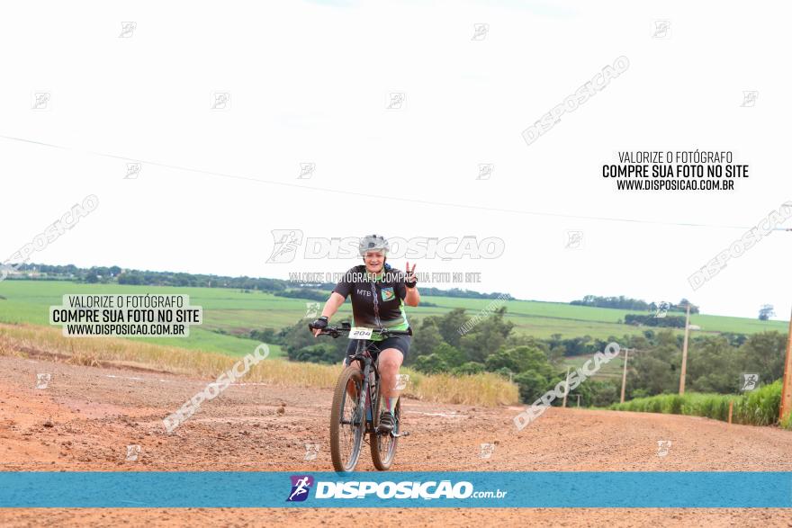 1ª EDIÇÃO DESAFIO ABELHA GRANDE - XCM