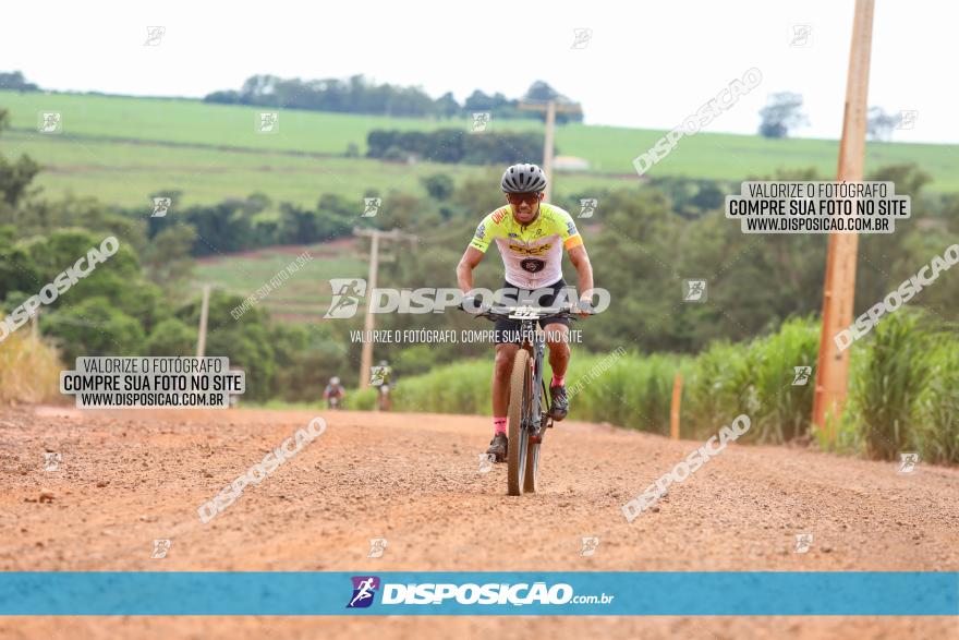 1ª EDIÇÃO DESAFIO ABELHA GRANDE - XCM