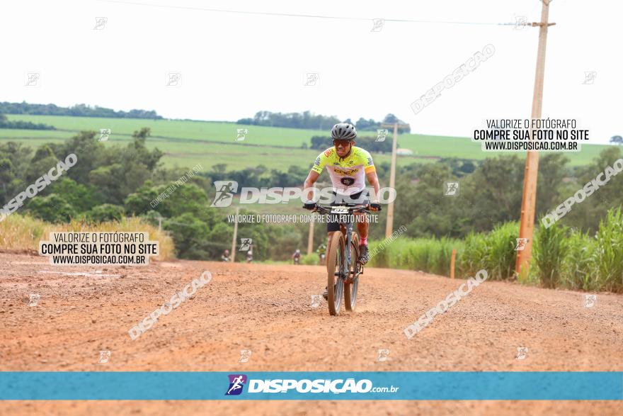 1ª EDIÇÃO DESAFIO ABELHA GRANDE - XCM