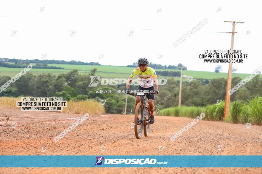 1ª EDIÇÃO DESAFIO ABELHA GRANDE - XCM