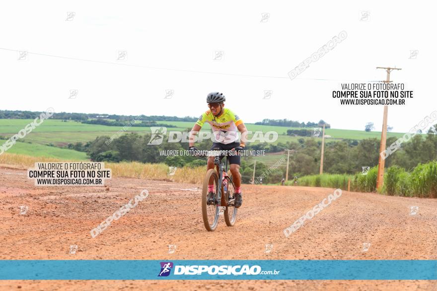 1ª EDIÇÃO DESAFIO ABELHA GRANDE - XCM