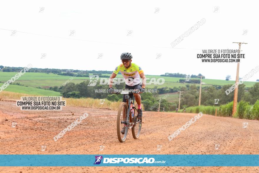 1ª EDIÇÃO DESAFIO ABELHA GRANDE - XCM