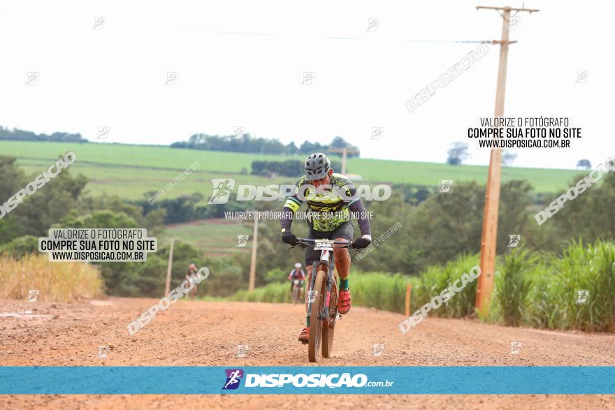 1ª EDIÇÃO DESAFIO ABELHA GRANDE - XCM