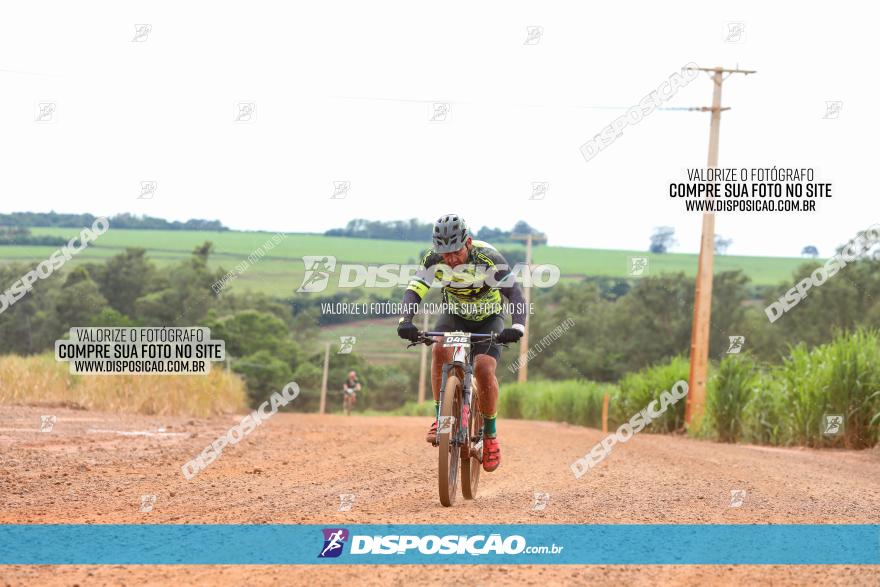 1ª EDIÇÃO DESAFIO ABELHA GRANDE - XCM