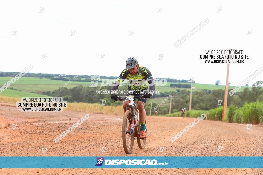 1ª EDIÇÃO DESAFIO ABELHA GRANDE - XCM