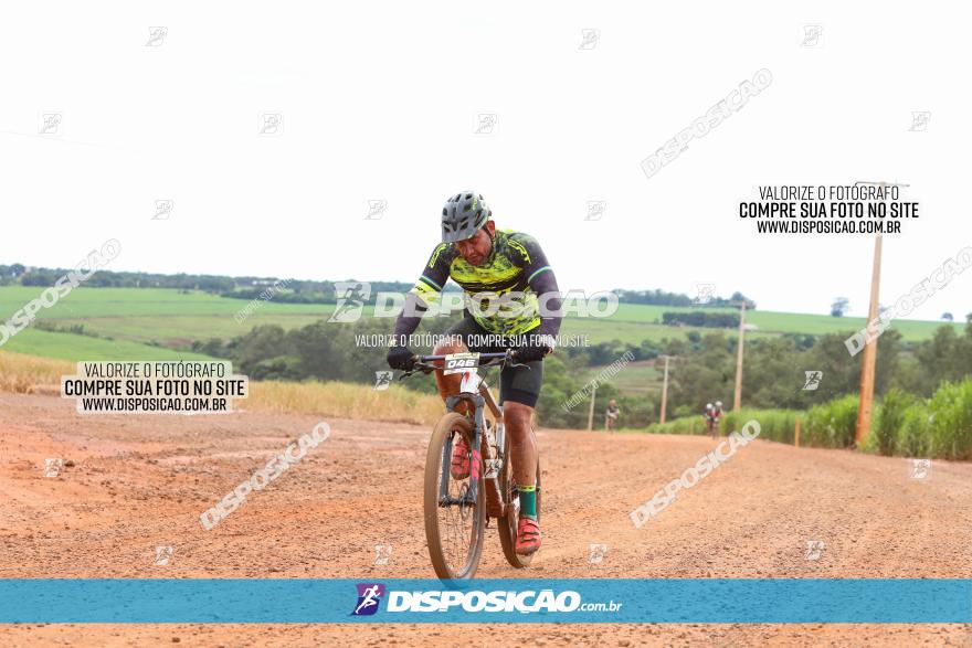 1ª EDIÇÃO DESAFIO ABELHA GRANDE - XCM