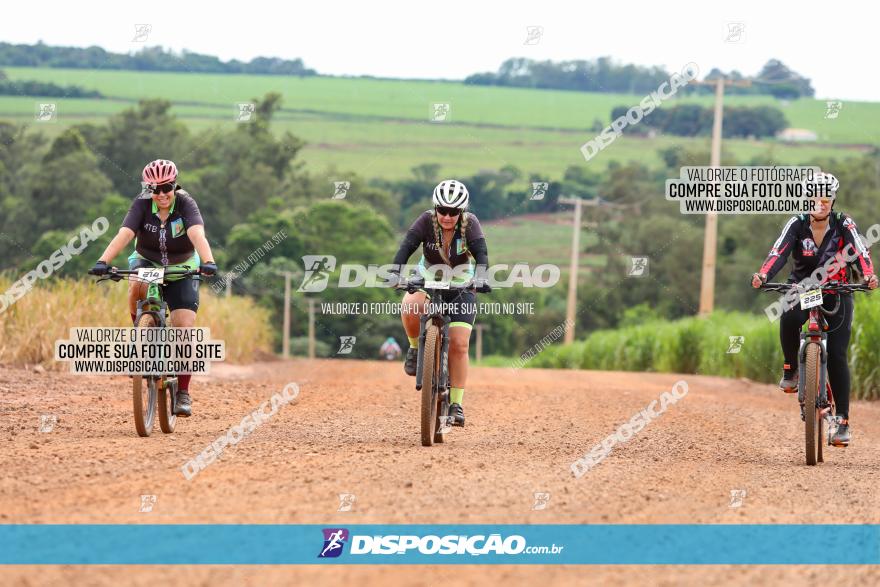 1ª EDIÇÃO DESAFIO ABELHA GRANDE - XCM