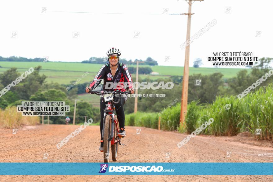 1ª EDIÇÃO DESAFIO ABELHA GRANDE - XCM