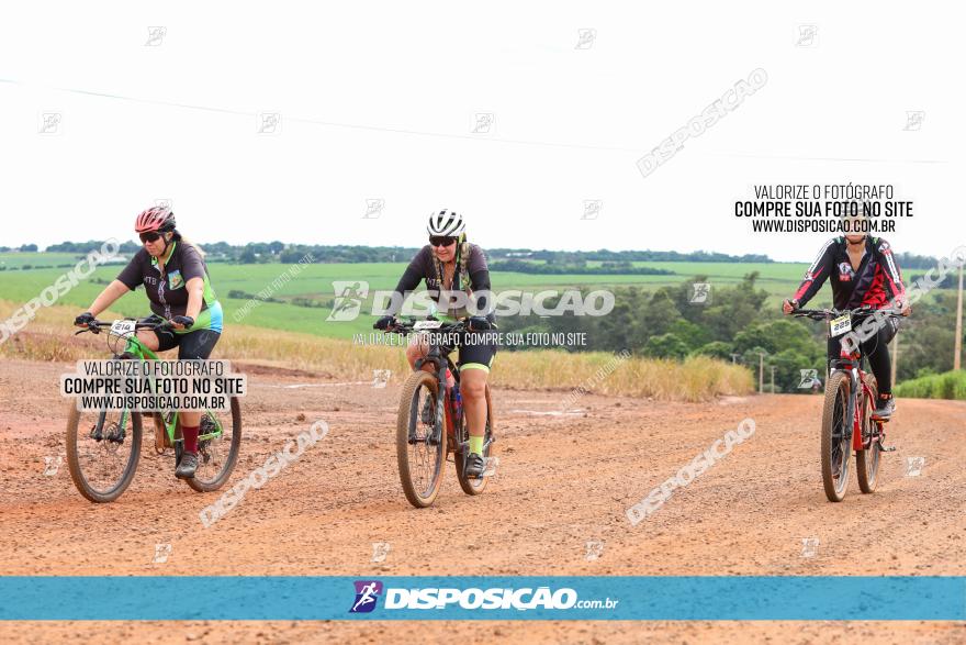 1ª EDIÇÃO DESAFIO ABELHA GRANDE - XCM