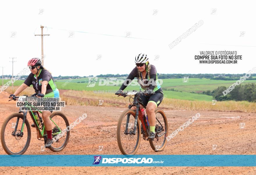 1ª EDIÇÃO DESAFIO ABELHA GRANDE - XCM