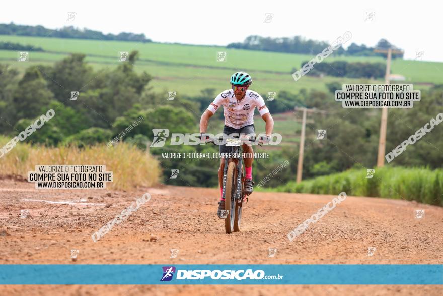 1ª EDIÇÃO DESAFIO ABELHA GRANDE - XCM