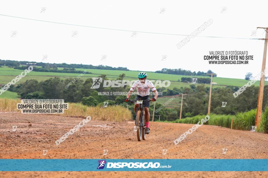 1ª EDIÇÃO DESAFIO ABELHA GRANDE - XCM