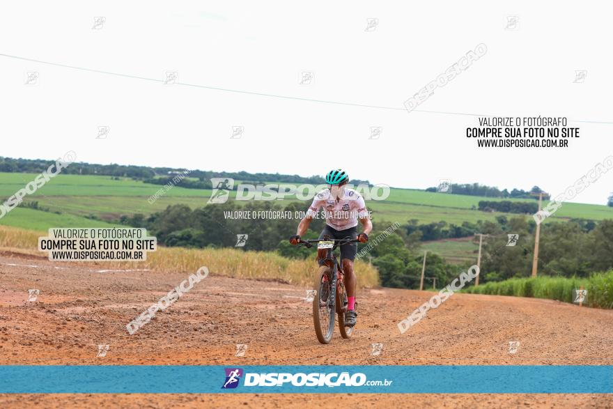 1ª EDIÇÃO DESAFIO ABELHA GRANDE - XCM