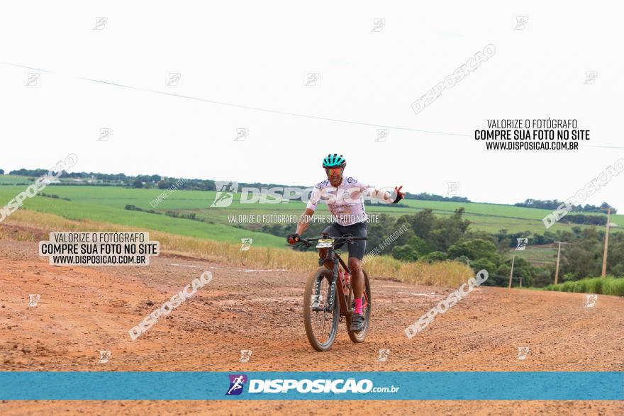 1ª EDIÇÃO DESAFIO ABELHA GRANDE - XCM